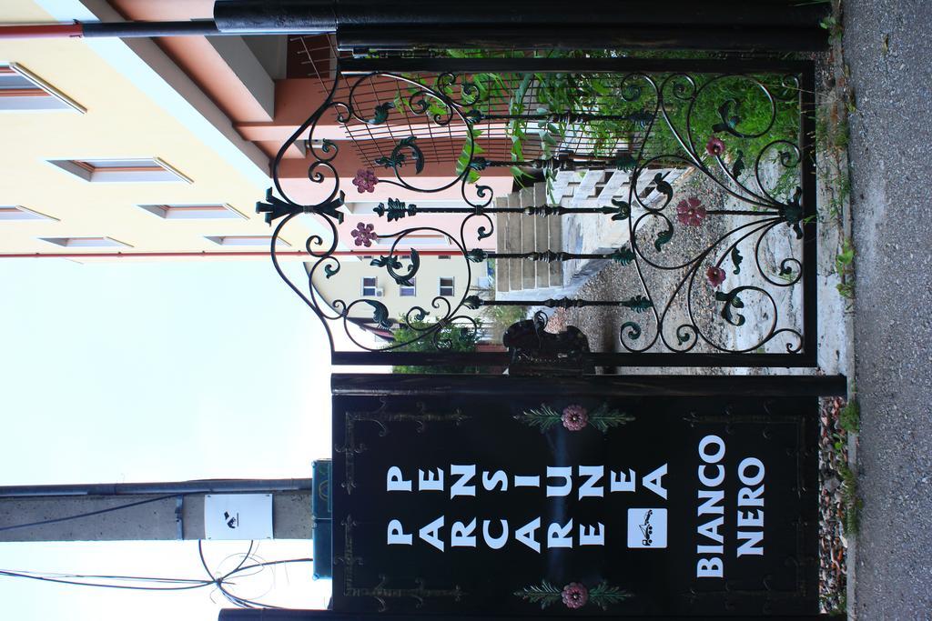 Pensiunea Bianco Nero ทิมิชัวรา ภายนอก รูปภาพ